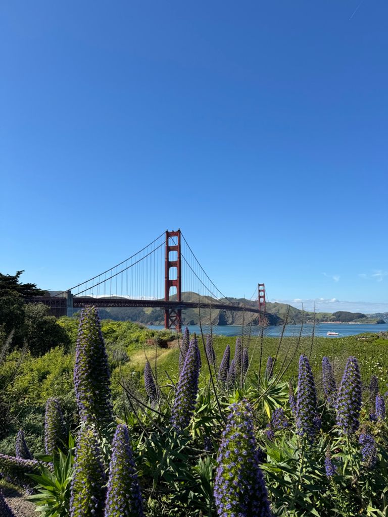 Butterlap (Presidio & Golden Gate Park) photo 57