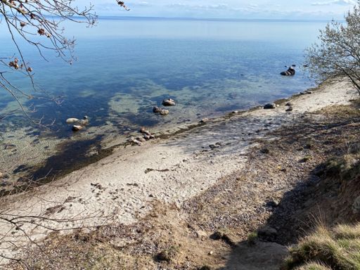 Endlich wieder auf der Insel