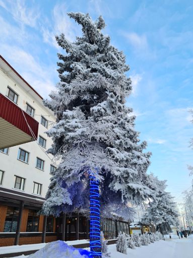 Около гостиницы "Рыбинск".