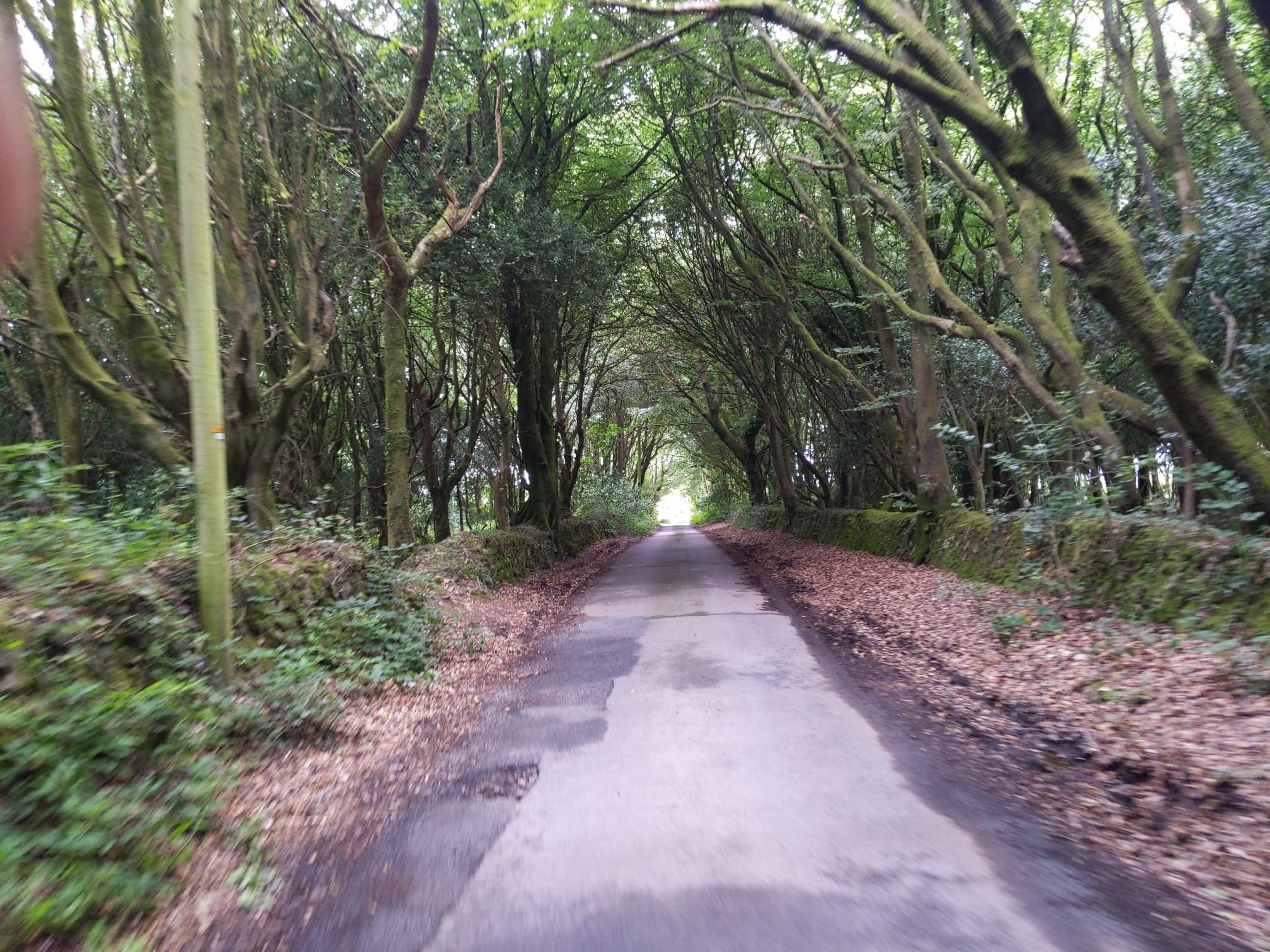 Skipton to Lands End - Day 6 photo 9