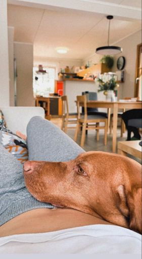 ráno se mi chtělo jak nikdy 😁