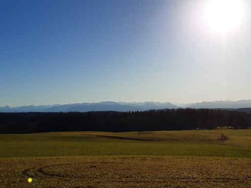 Ein Traum von Alpenblick 