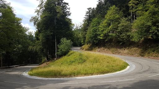 Petite incursion dans mes belles Vosges : test à bloc dans le Hilsen (amélioration du chrono de mai avec un cardio plus bas, l'effet des Alpes ?), Markstein par Remspach et Grand Ballon (au tempo)