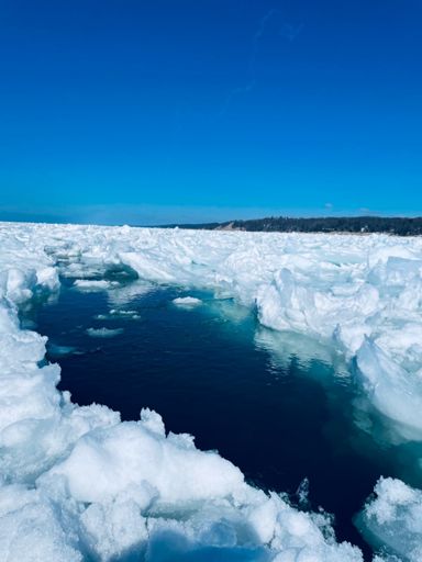 Polar plunge anyone?