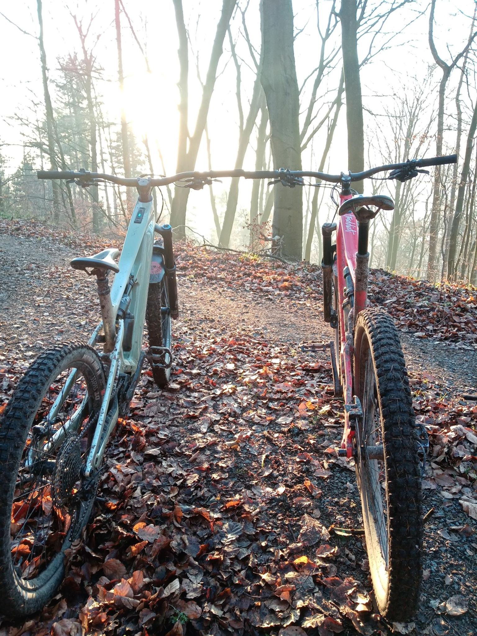 Mike TRADDICT Strava Cyclist Profile