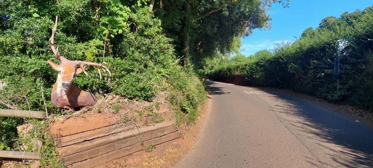 Suddenly into view - on Blagdon Road, Collaton St Mary