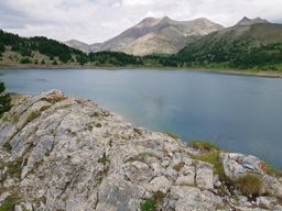 Rando fleurie autour du lac d’Allos