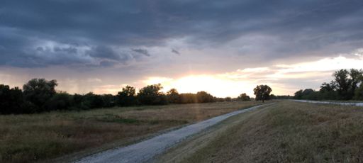 Afternoon Walk