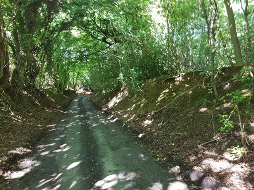 'Interesting' surface for a descent!