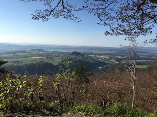 Buchberg von Irchel Hochwacht