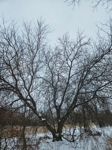 Sometimes life is like this ... strong and beautiful 