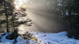 Un petit Donon avec de la neige, du soleil et une mer de nuages SVP