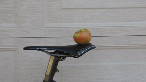 Paging William Tell...