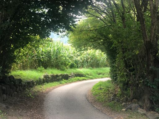 Stradine e stradele.... perzen