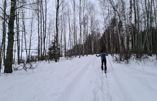 Вдоль Селекши.