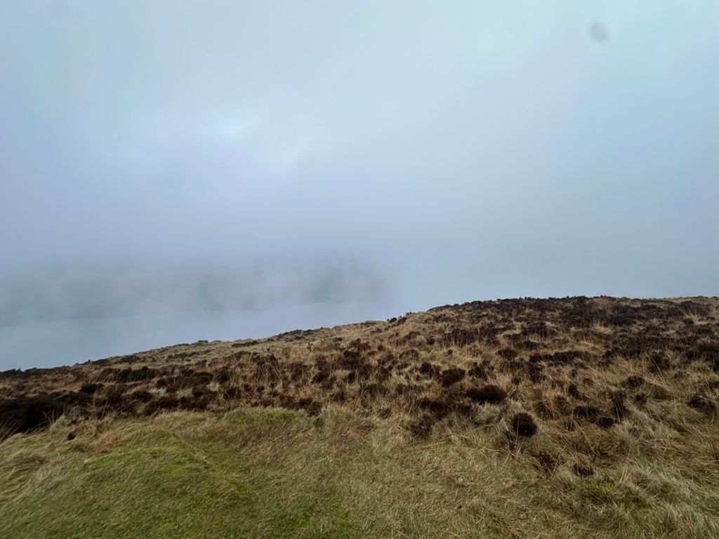 Grizedale Half-3