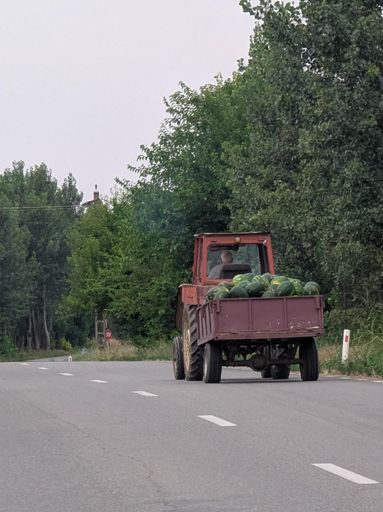 This part of Romania is rather replete with watermelons at the moment.