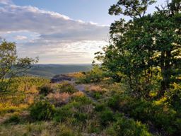 Lamproy, Grand Rougimont, Grand retour