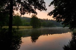 Sortie à vélo nocturne