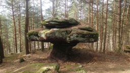 St Jean de Saverne Mont St Michel