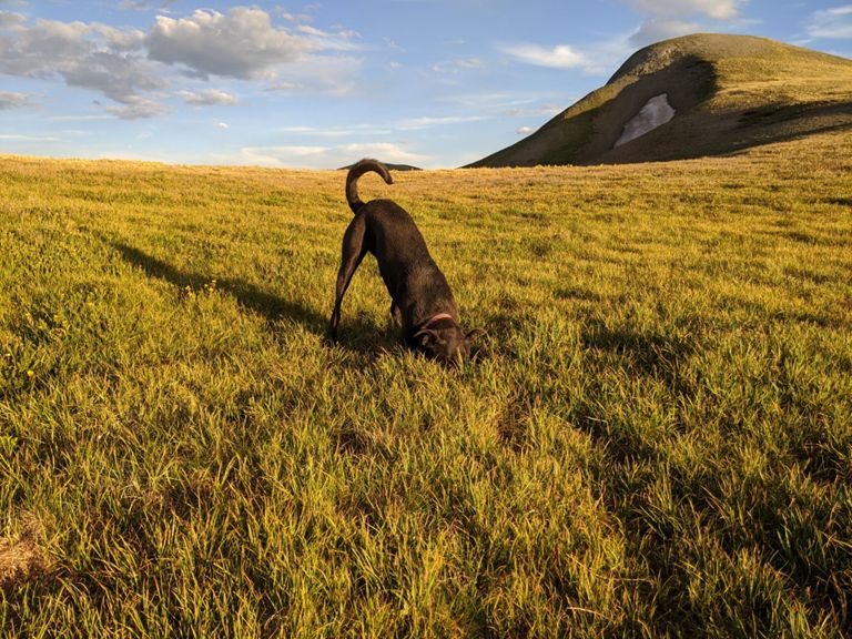 South from Stony Pass