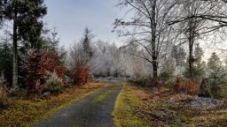 VTT aux roches des Druides et Corbet