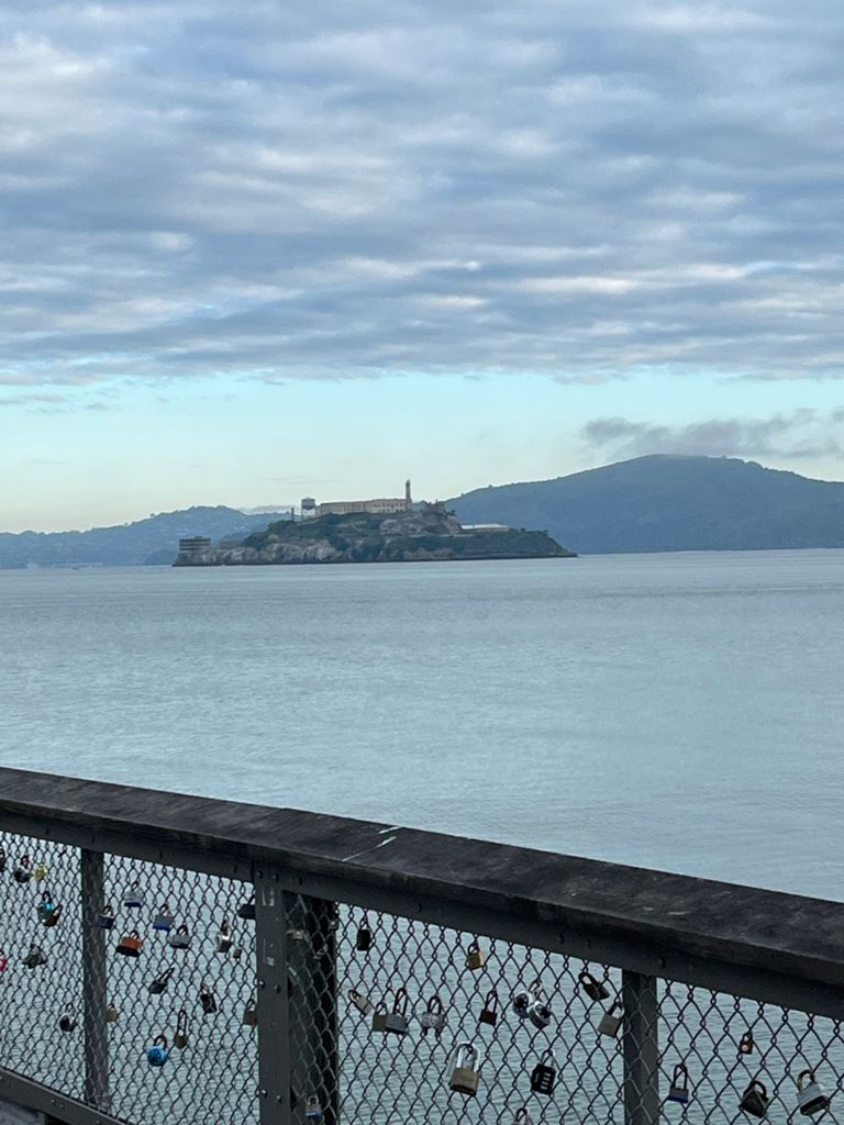 Butterlap (Presidio & Golden Gate Park) photo 165