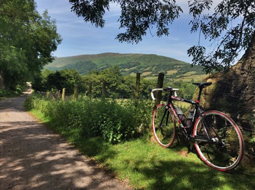 The Cat's Back from the Offa's Dyke mountain road.