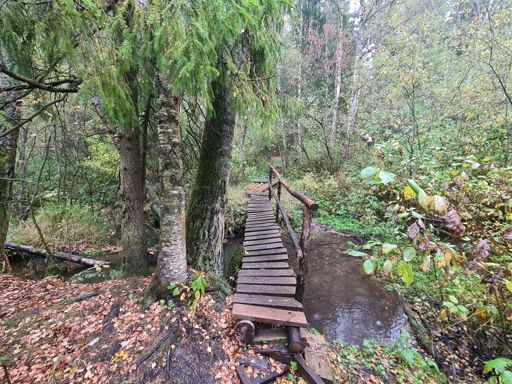 Мост через Серебрянку.