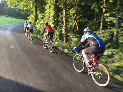 The rest of the herd.