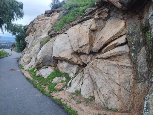 Butthole rock