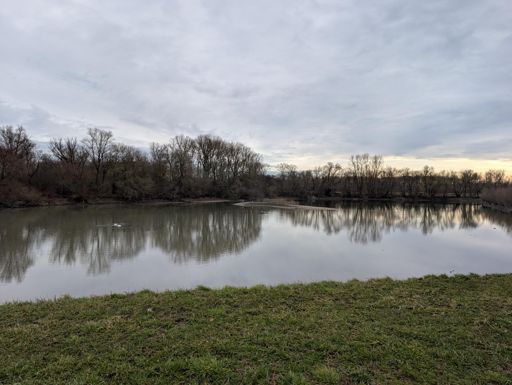 Lingenfelder Altrhein bei der Insel Grün