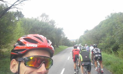 Organizovana Skupina