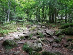 Courte rando col de la schlucht