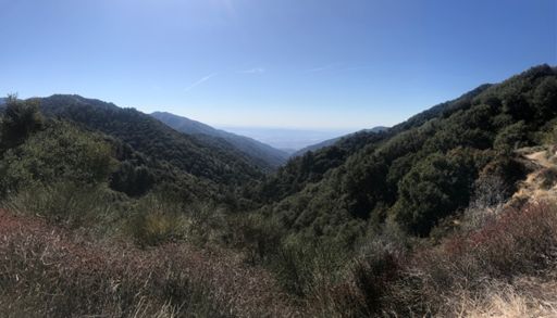 South from Newcomb Saddle.