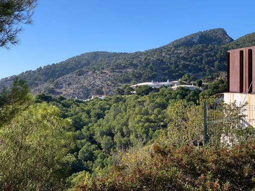 Landeplatz der Außerirdischen👽🛸