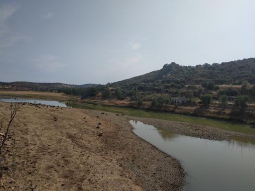 Puente sobre el río Zújar