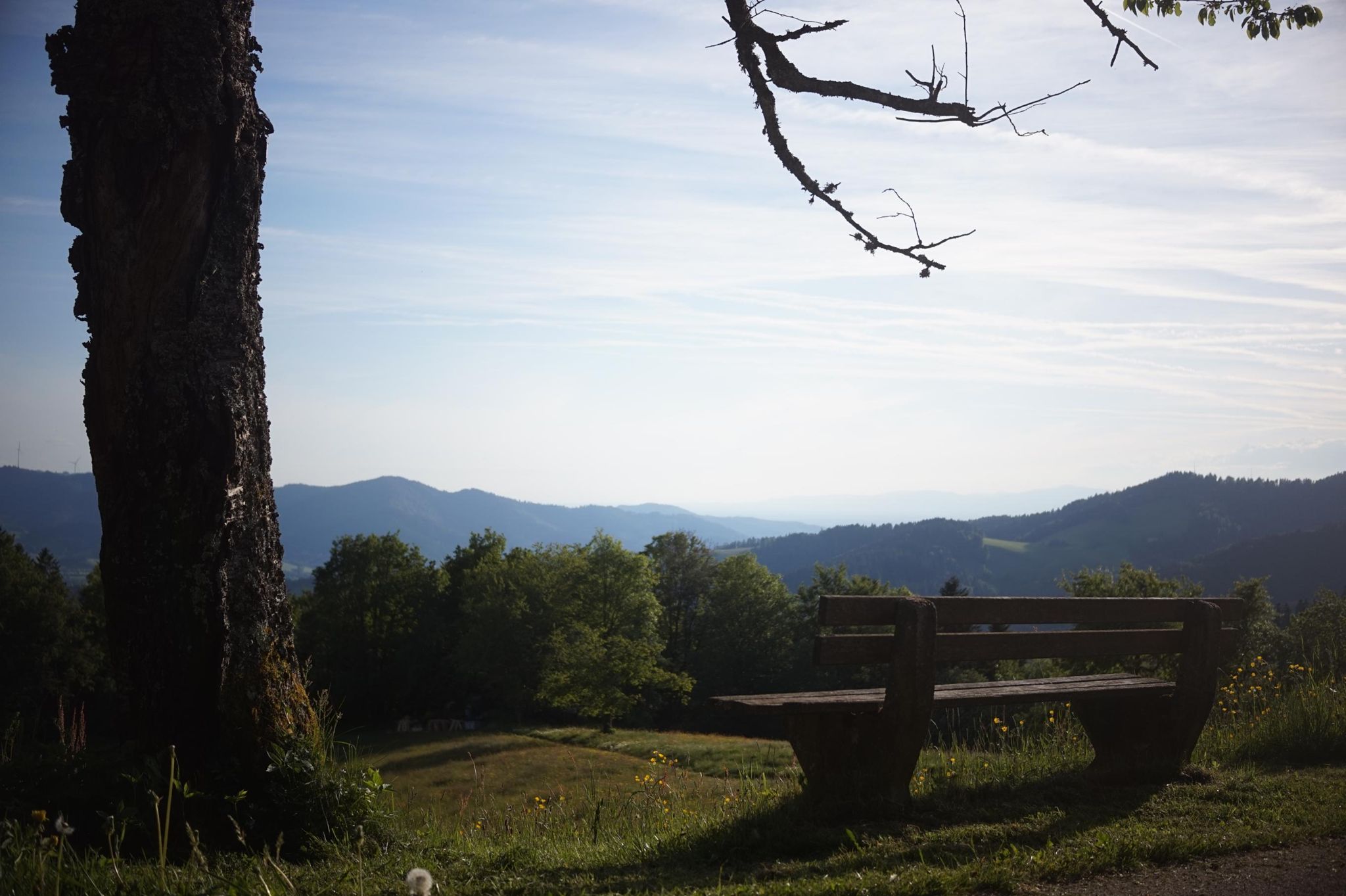 Activity photo