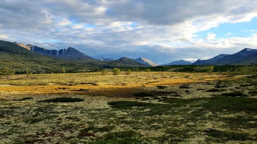 Uppe i Rondane nationalpark i går kväll efter ankomsten till Folldal.