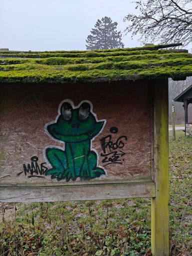 Zsolti a béka,
Figyeld, hogy nyomja le épp a környezetszennyezőket,
Ez zöldövezet, védd a növényzetet
Gondold meg, a szemeted hova teszed, brekk