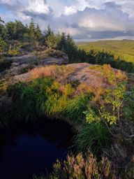 Lamproy, Grand Rougimont, Grand retour