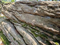 Tour Ribeauvillé Taennchel