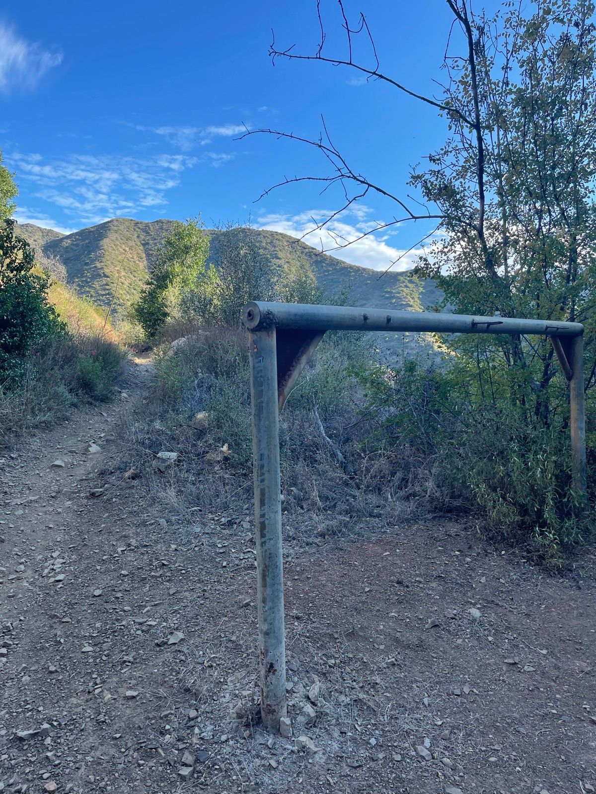 Angelica Carranza Strava Runner Profile