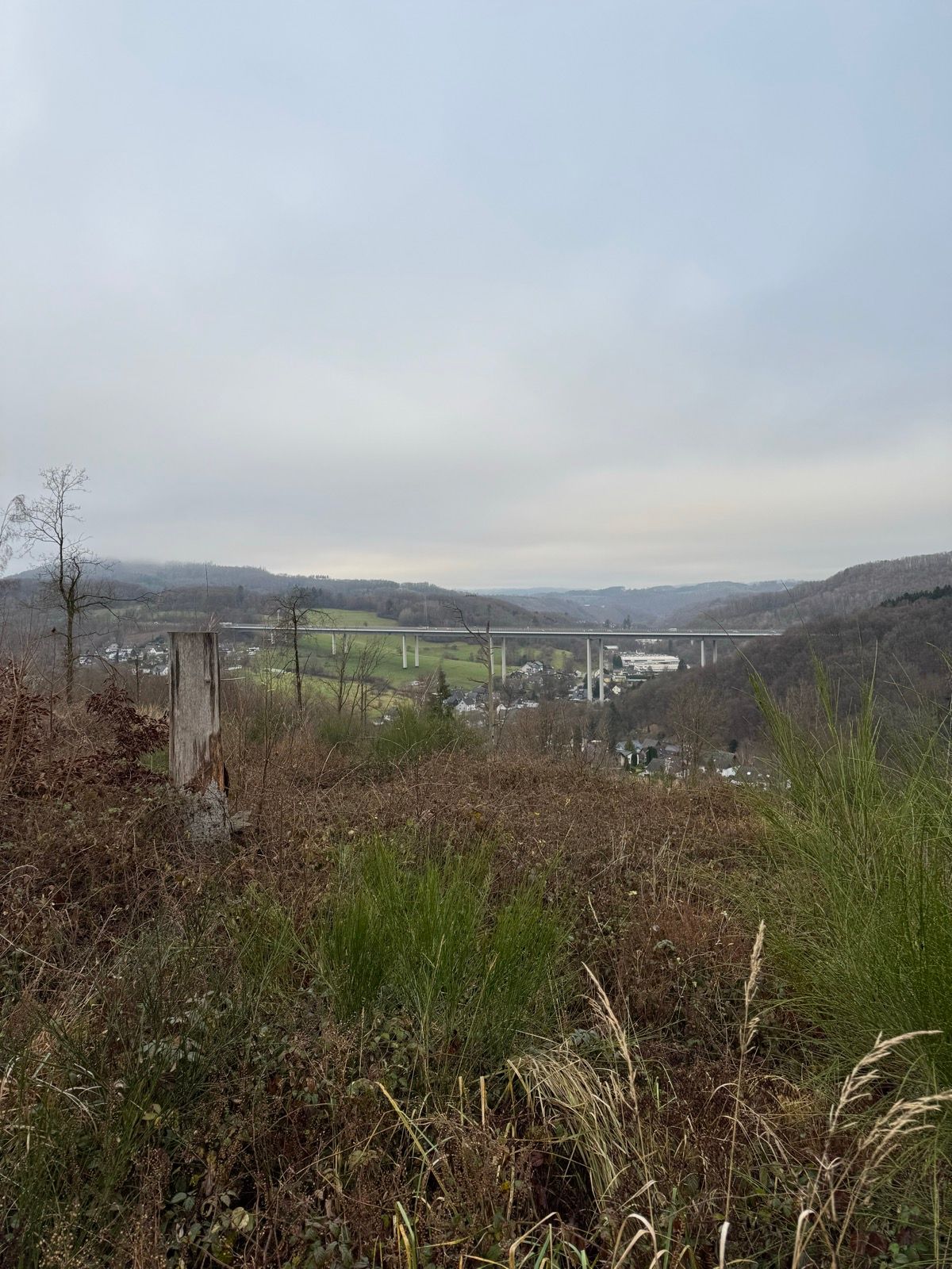 Die neue Problembrücke 😬