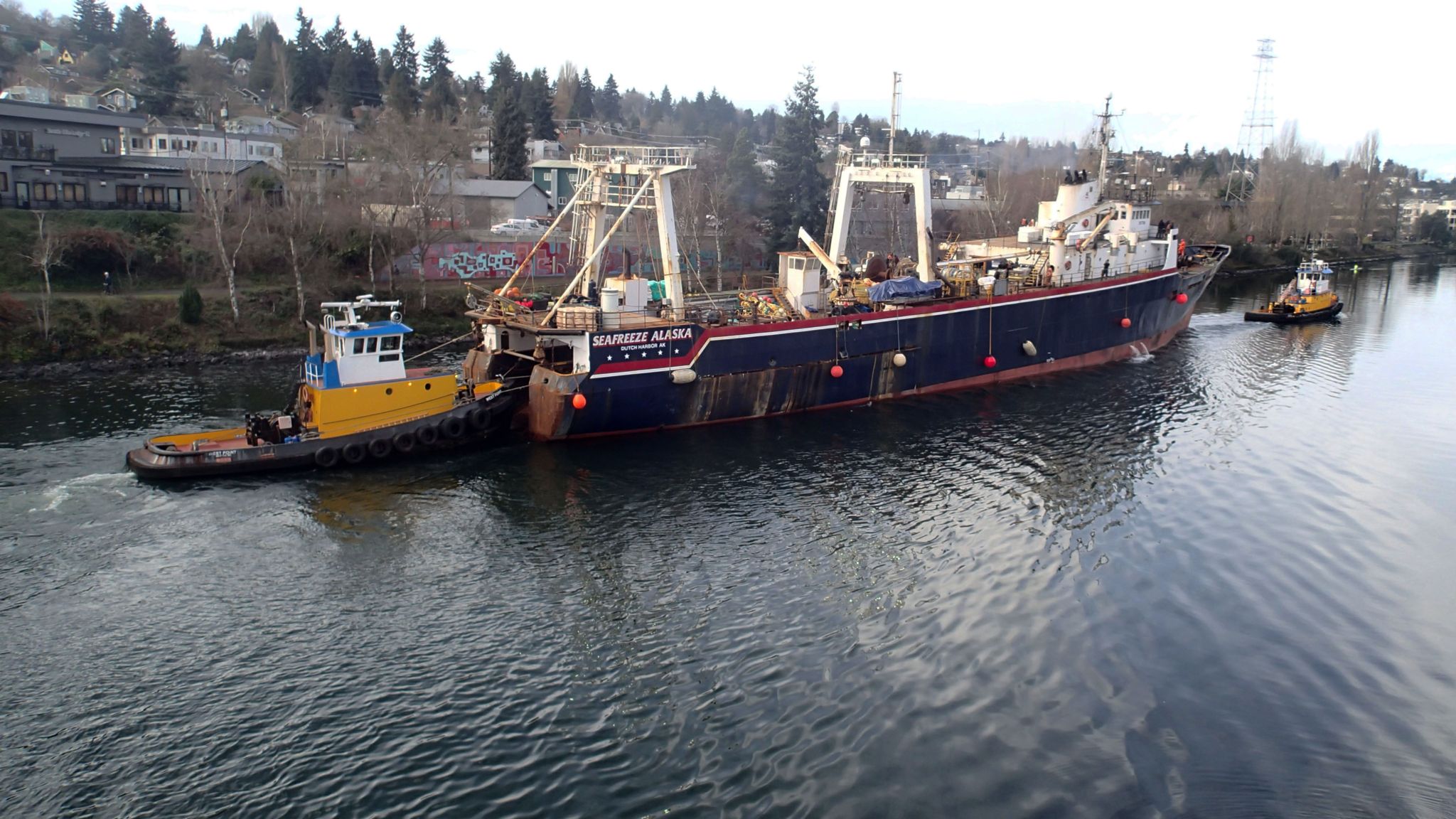 Western Tug moving a big catcher/processor through the cut.