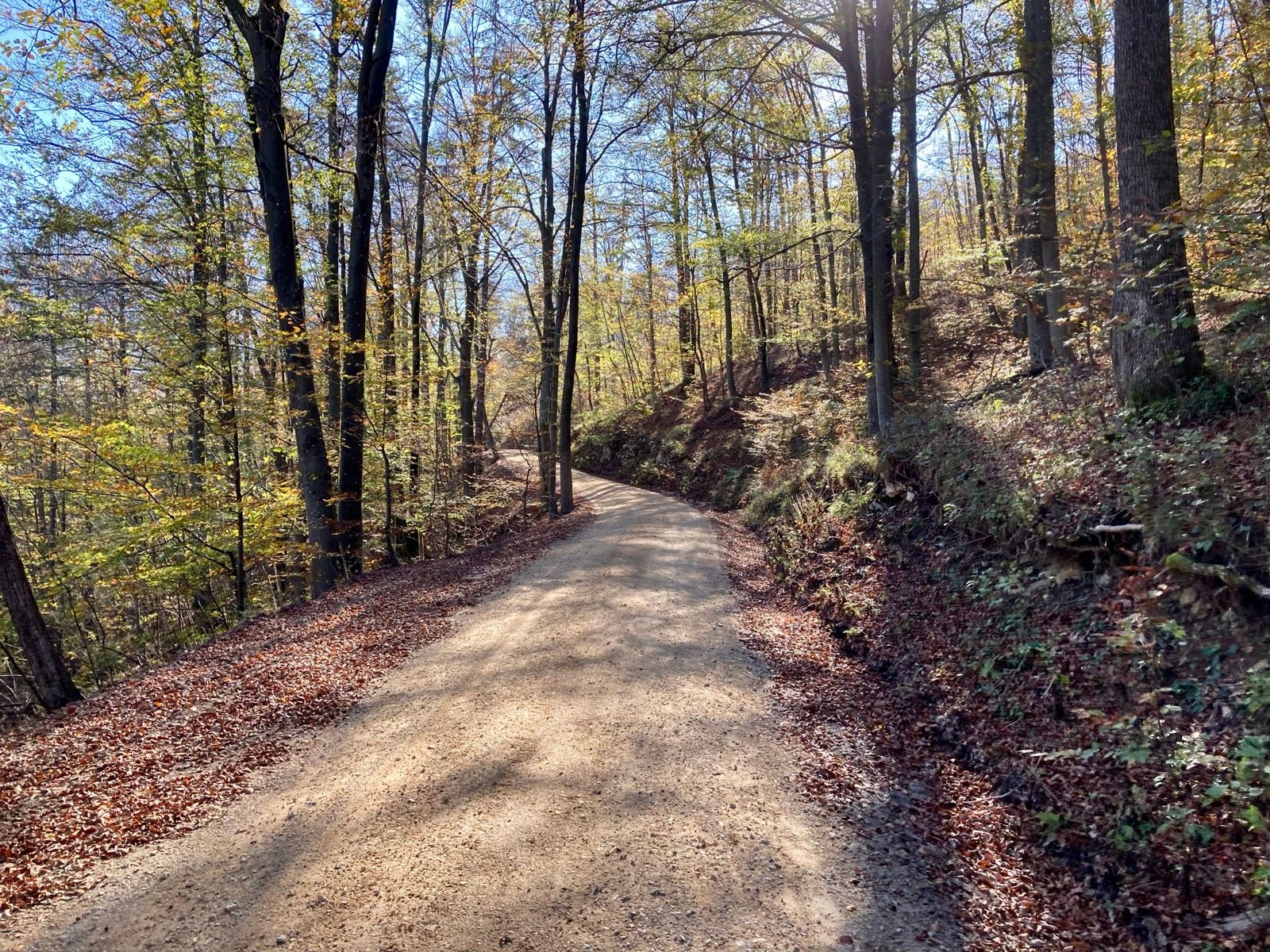 Ride Image 4
