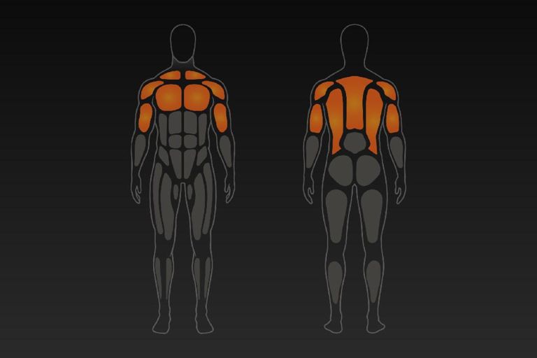 Upperbody