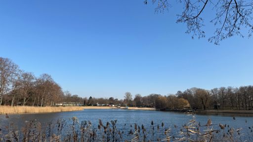 Bestes Winterwetter am Orankesee an diesem Februardienstag um drei Minuten vor Halb Zwei. 🌞💨