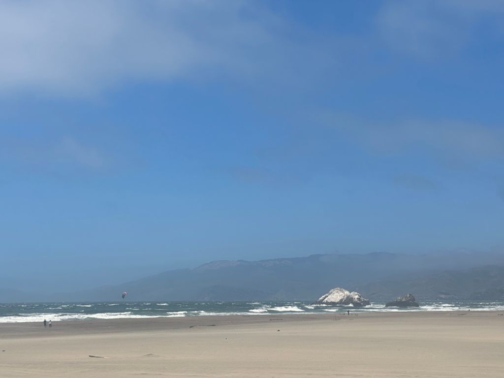 Butterlap (Presidio & Golden Gate Park) photo 181