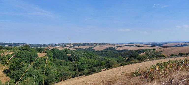 Contrast with landscape yesterday and tomorrow